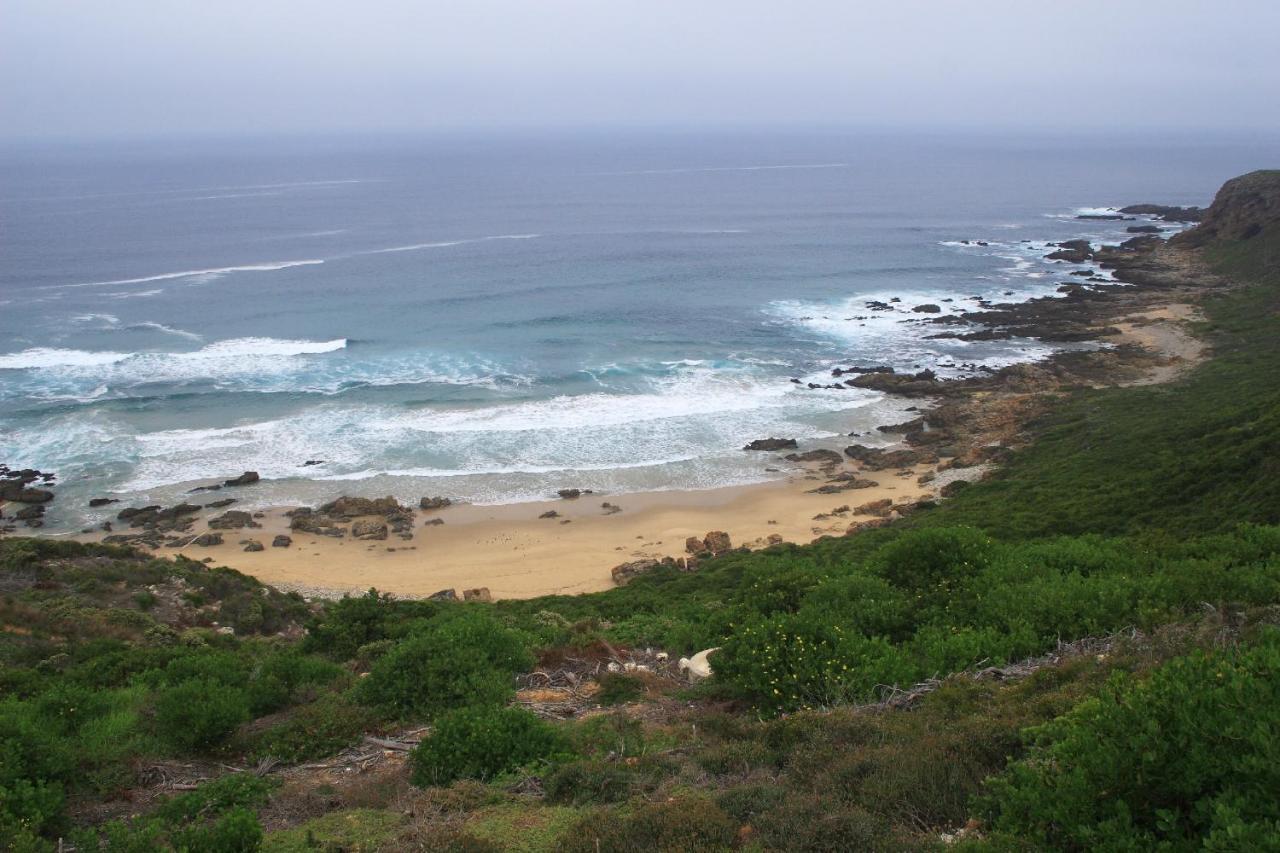 Pinnacle Point Beach & Golf - Penthouse & Villa Mossel Bay Ngoại thất bức ảnh